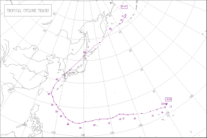 1991年